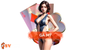 Gà Mỹ