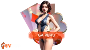 Gà Peru