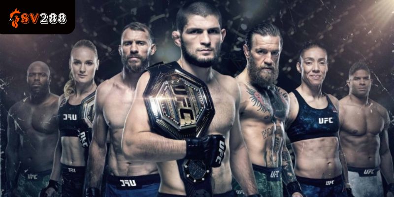 Cách Đọc Kèo Cá Cược UFC