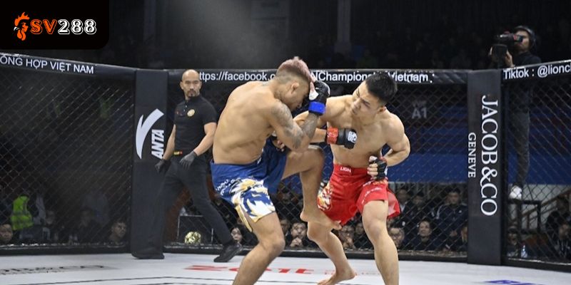 Kinh Nghiệm Chọn Võ Sĩ Chuẩn Xác